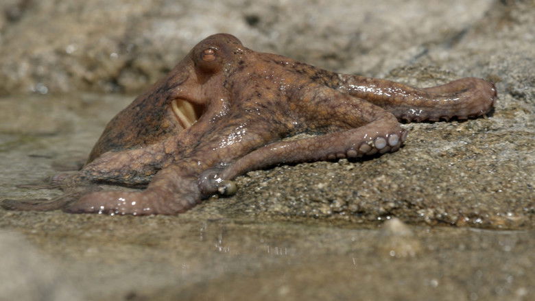 Gallery image from i5vp0pvR3vmkXyLSVxYfFEoG49r.jpg