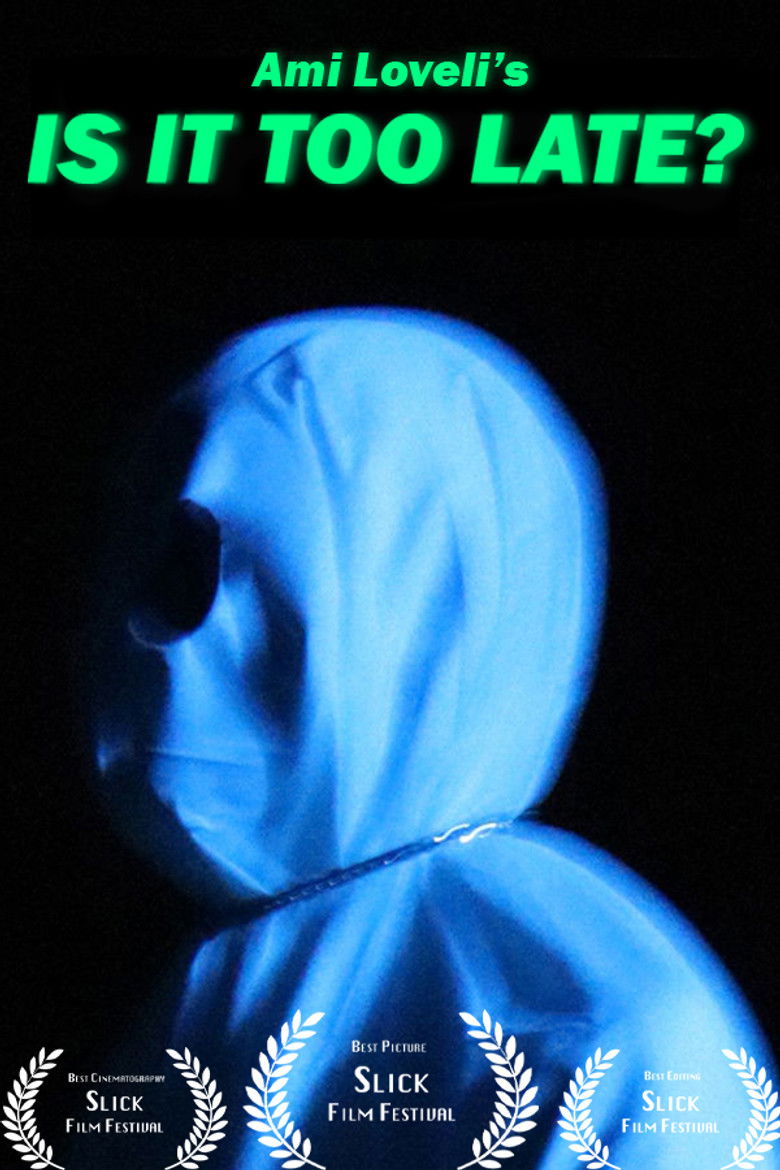 Imatge de Is It Too Late?