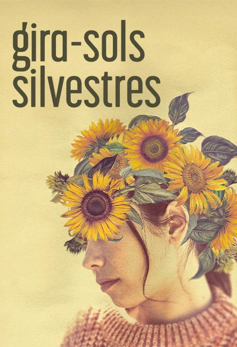 Imatge de Gira-sols silvestres