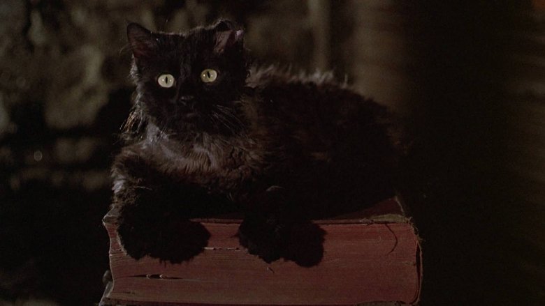 Bedknobs and Broomsticks (1971)