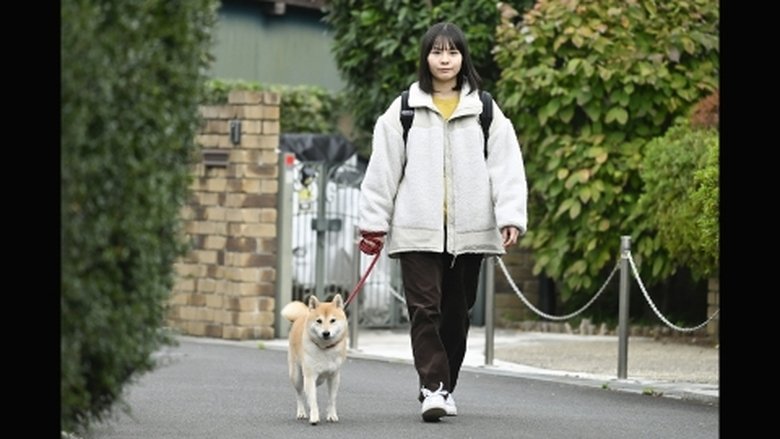 Still image for Today's Walk season 1 episode 2: Episode 2