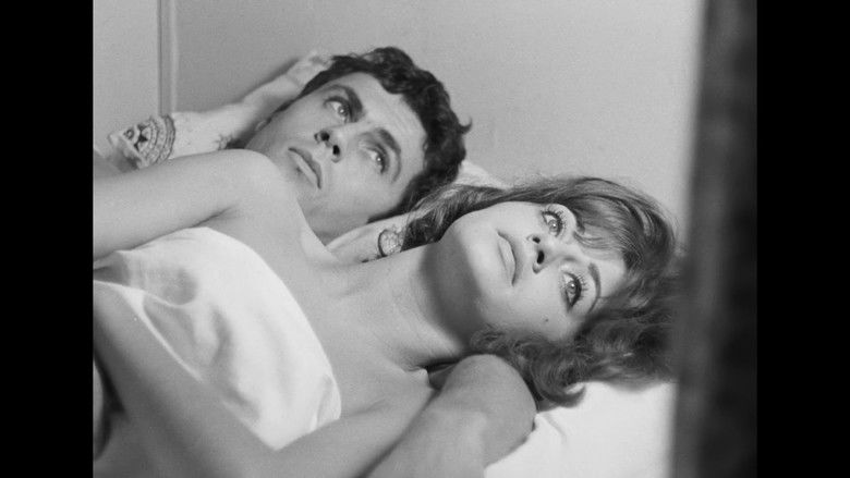 Gallery image from i7OlIn1mef9uK5oYKgDD3peIs9q.jpg