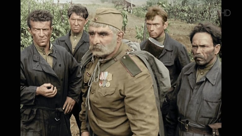 I7bjolse4tvivv08yysxeagcrtd