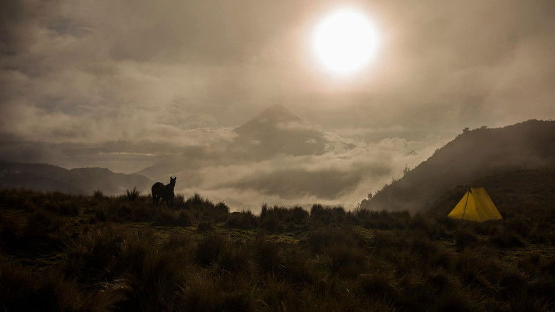 Still image for Chasseurs de volcans season 1 episode 2: Episode 2