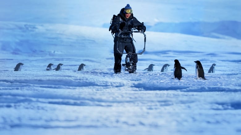 Los pingüinos de la Antártida movie poster