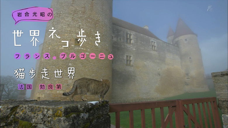 Still image for Mitsuaki Iwago's World “Cats” Travelogue season 1 episode 74: Burgundy, France Still image for Mitsuaki Iwago's World “Cats” Travelogue season 1 episode 74: Burgundy, France