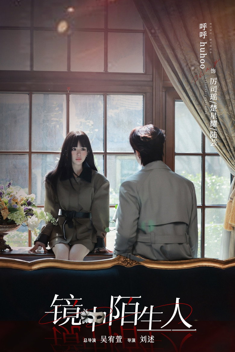 The Stranger in the Mirror — image 5