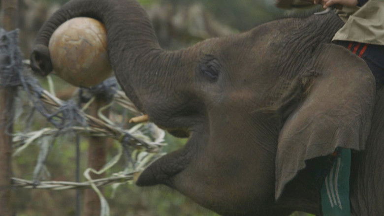 Still image for Earth: A New Wild season 1 episode 3: Forests Still image for Earth: A New Wild season 1 episode 3: Forests