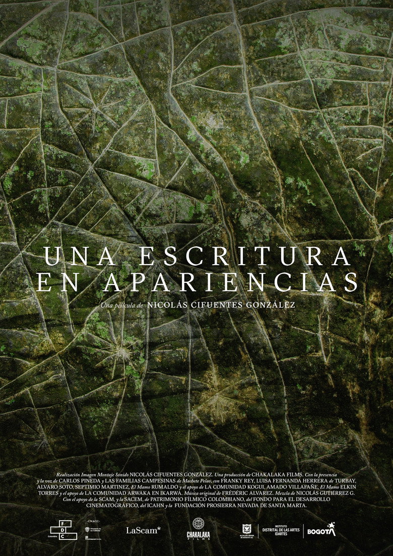 Imatge de Una Escritura En Apariencias