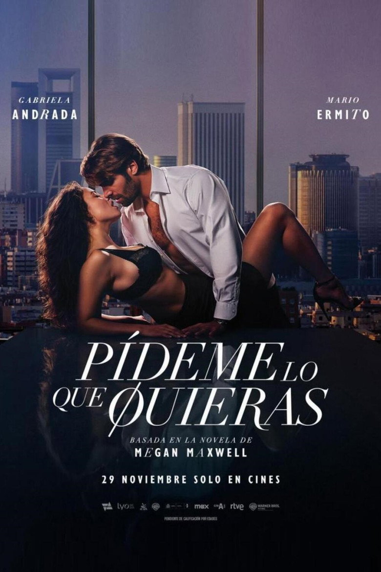 Póster la Película