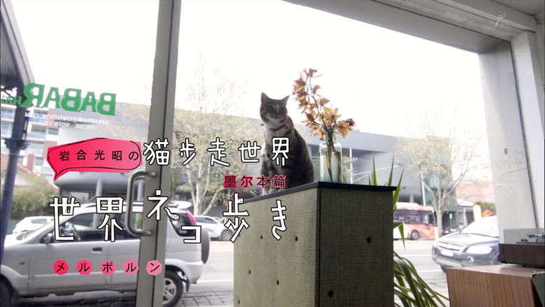 Still image for Mitsuaki Iwago's World “Cats” Travelogue season 1 episode 33: Melbourne Still image for Mitsuaki Iwago's World “Cats” Travelogue season 1 episode 33: Melbourne