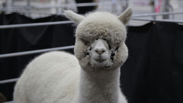 Still image for Going Fur Gold season 1 episode 2: Show Me the Bunny