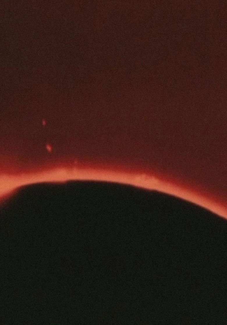 Imatge de The World of Pulses - Electronics and Living Organism