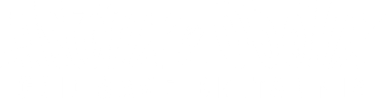 Asterix & Obelix: God Save Britannia