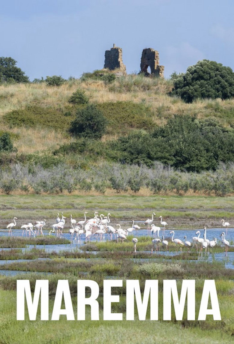 Official poster for Maremma - Italiens wilde Schönheit