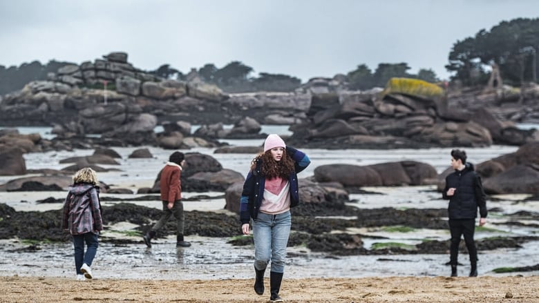 Avis de tempête