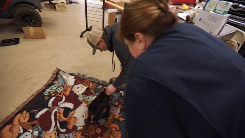 Still from The Incredible Dr. Pol - Season 24 Episode 5