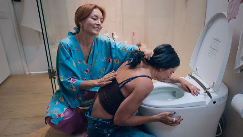 Imatge de Socias por accidente