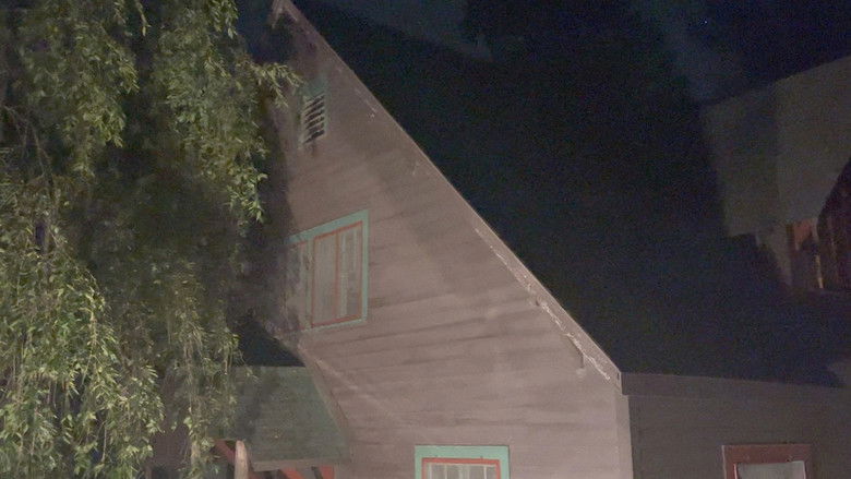 Davy Wallace backdrop 5