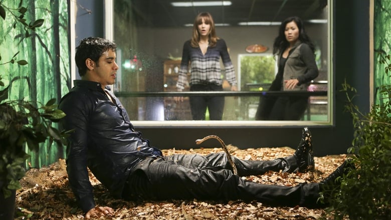 Scorpion: Serviço de Inteligência - S01E18 - Scorpion S01 E18