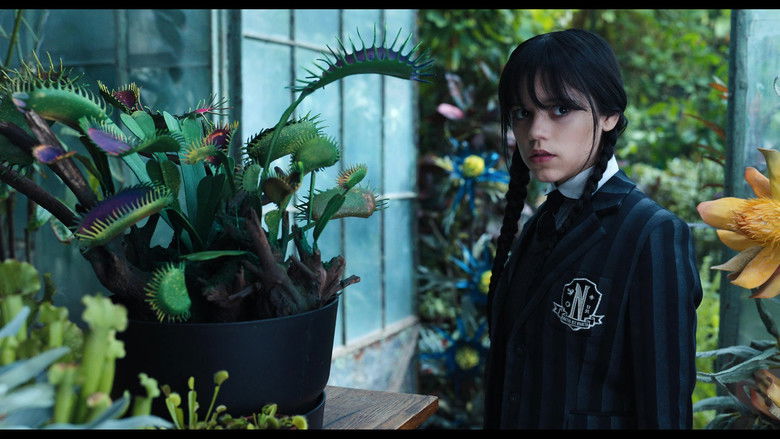 Gallery image from iCXLmV7da45fwkhairo7NscMAHN.jpg