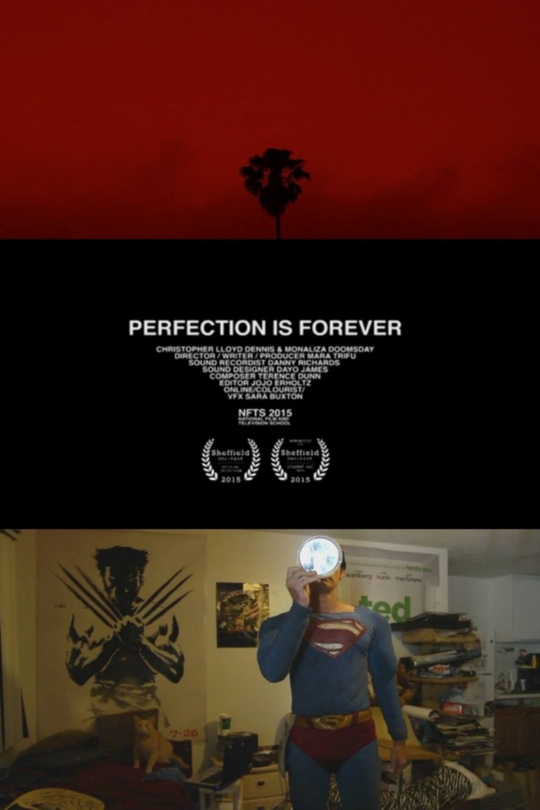 Perfection Is Forever main poster