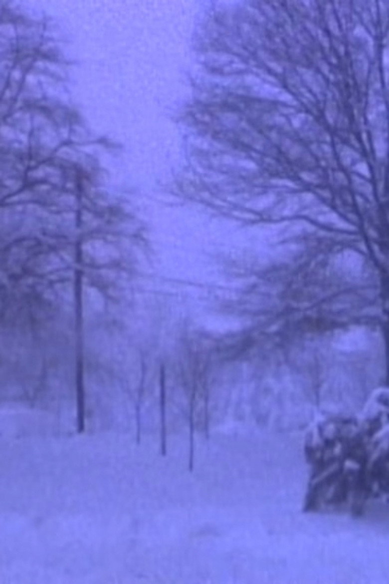 Heavy Snow in Silver Spring background