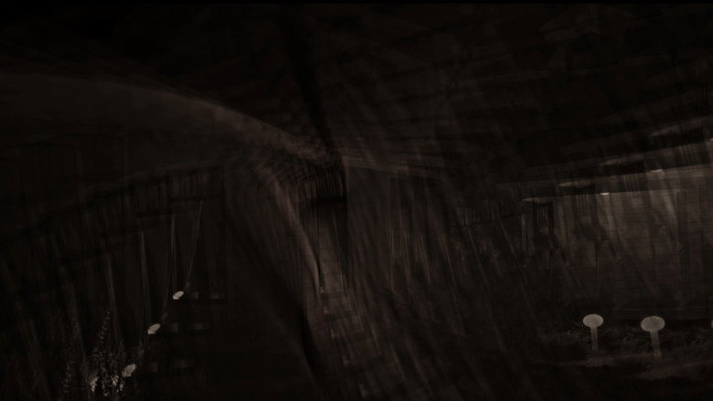 Imatge de The Somnambulist