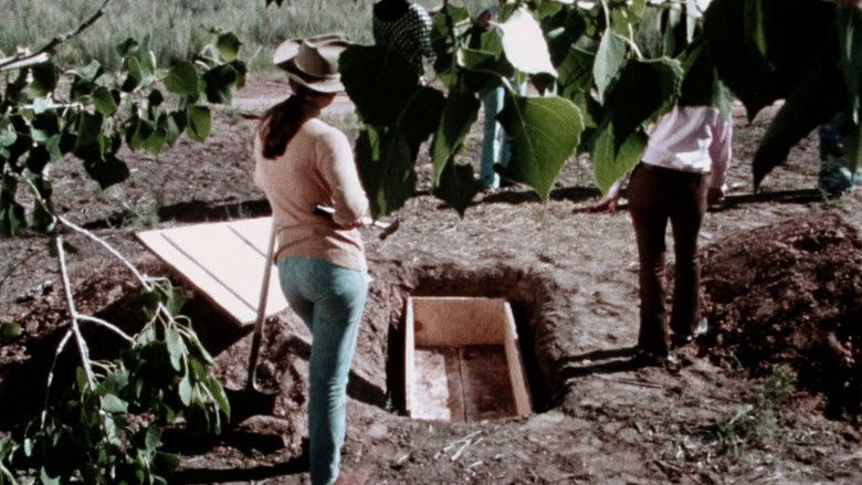 Imatge de The Female Bunch