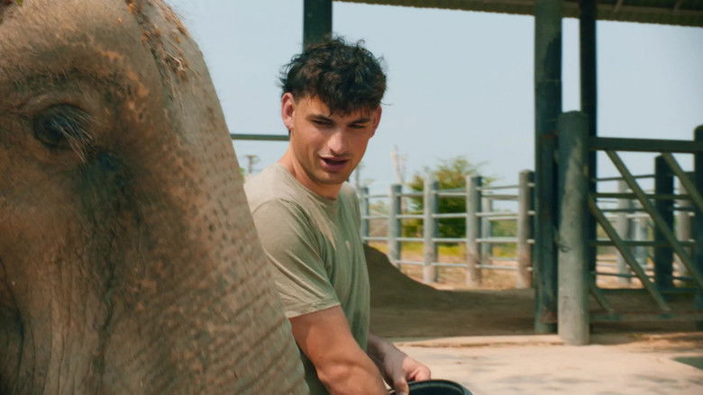 Still image for Wildlife season 1 episode 8: Episode 8 Still image for Wildlife season 1 episode 8: Episode 8