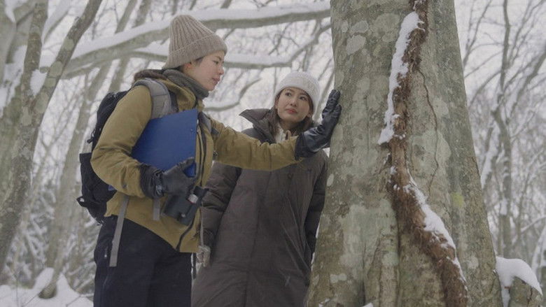 Still image for The most Beautiful Villages in Japan season 1 episode 11: Episode 11 Still image for The most Beautiful Villages in Japan season 1 episode 11: Episode 11