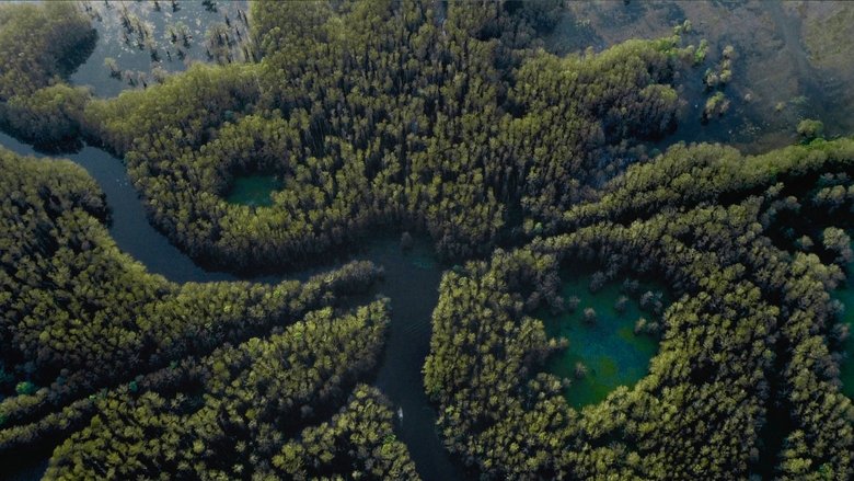 Caddo Lake (2024)