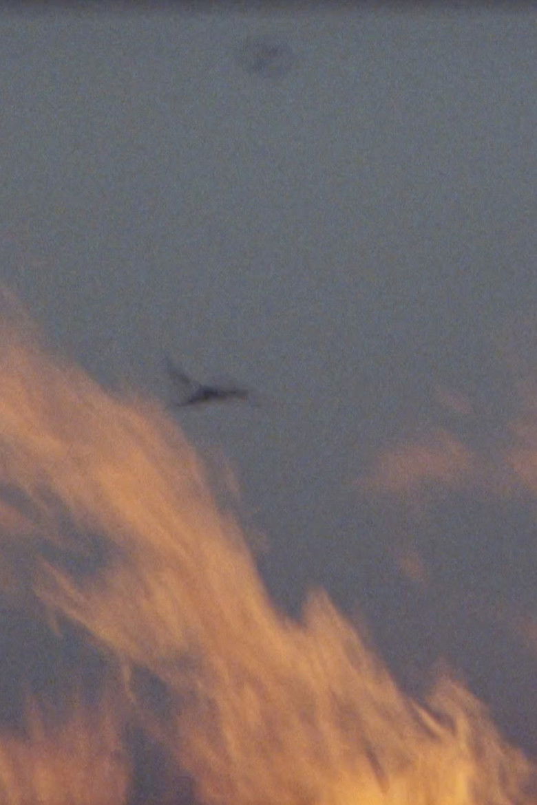 Imatge de from time without beginning