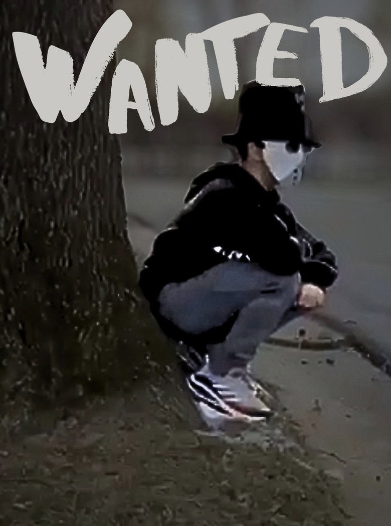 WANTED background