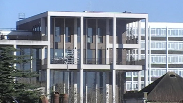 Imatge de Magician's Bird