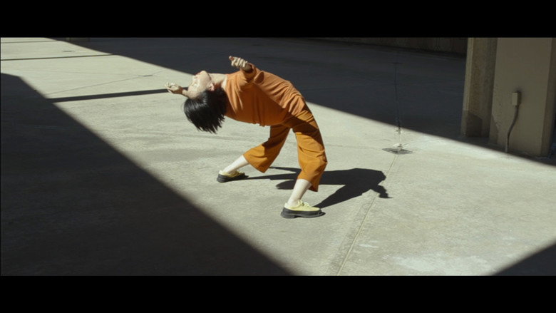 Imatge de Erosion Project