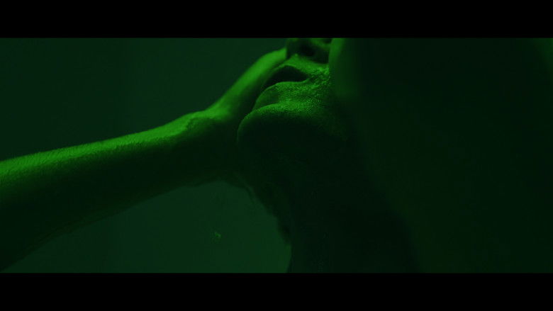 Gallery image from iJattm1jEWxvq0Oz8lH7xE3HsuD.jpg