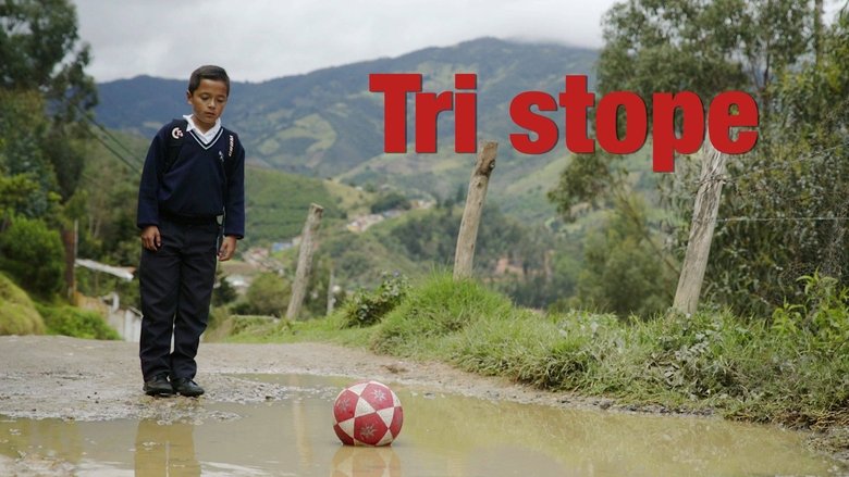 Gallery image from iJvcaYyMFKeGr741c1y9Pz1Jfec.jpg