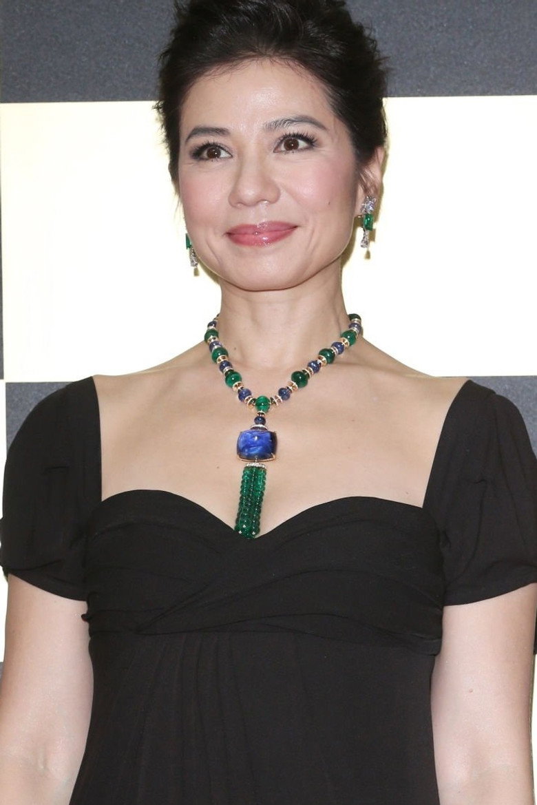 Cherie Chung Cho-Hung photo 3