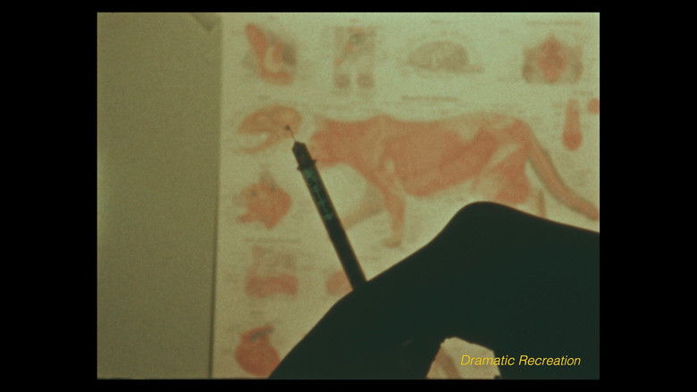 Gallery image from iK5MkwmCZYDbzGnRLjHo509sdNJ.jpg