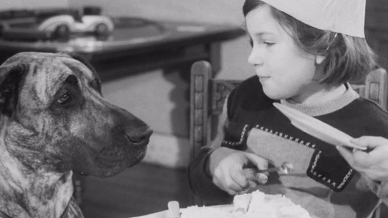 Gallery image from iKZR98cIX4NWnEzCpI4ODy9eRe2.jpg