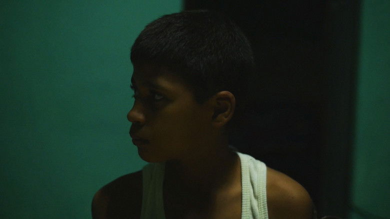 Gallery image from iMYCIDvsst1g1uCaqP8E5nofetC.jpg