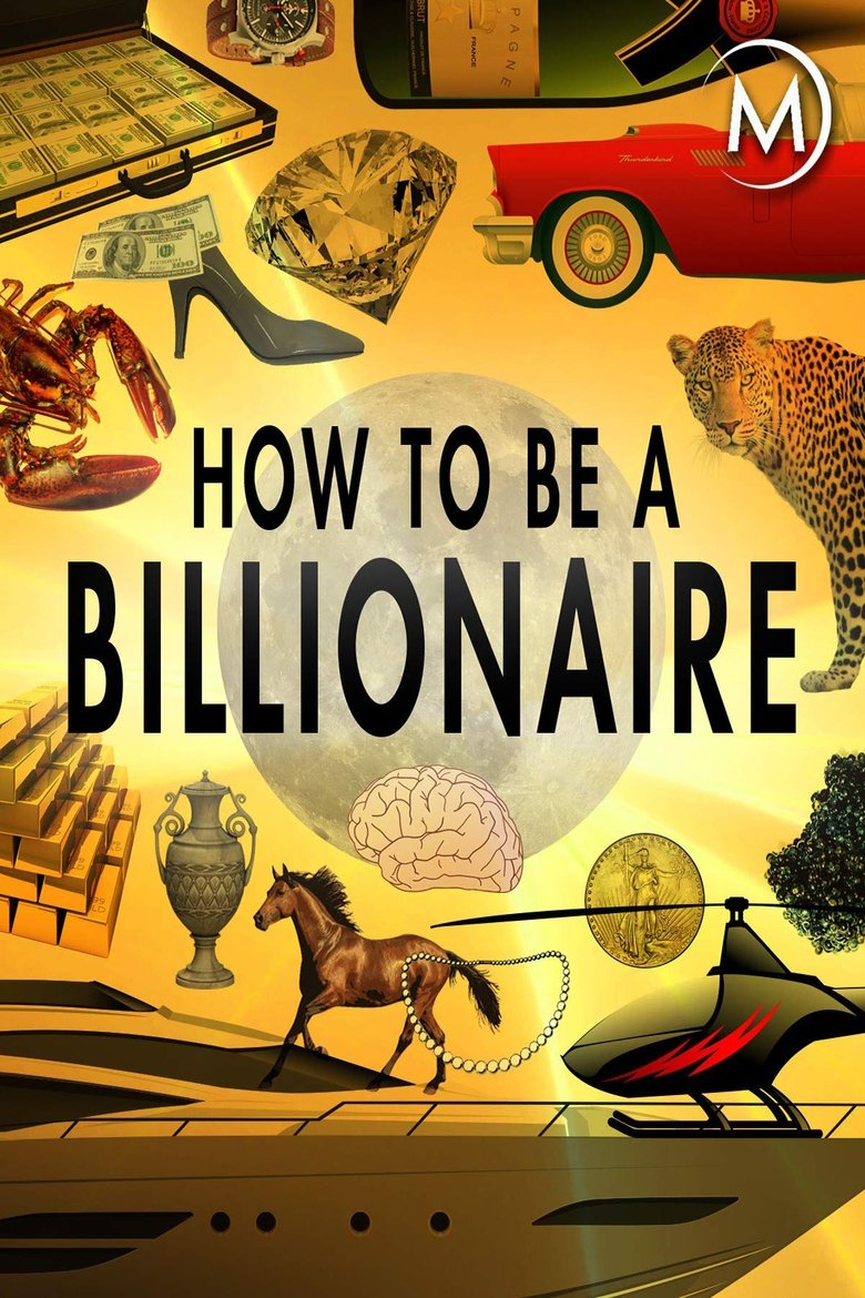 How to Be a Billionaire main poster