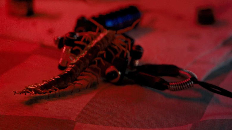 Медиа изображение