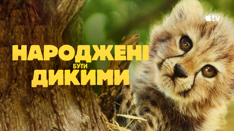 Gallery image from iMnw1o1UhMxU5NEwEPPkAVMlIK4.jpg