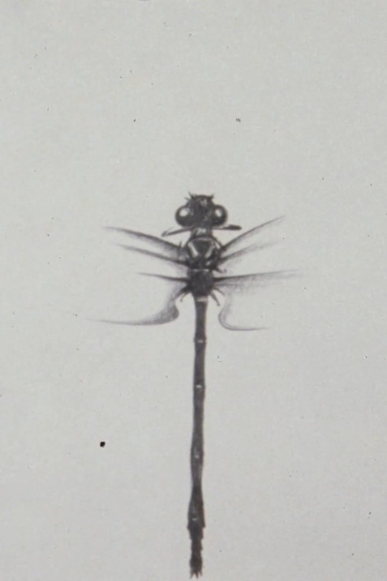 Dragonfly main poster