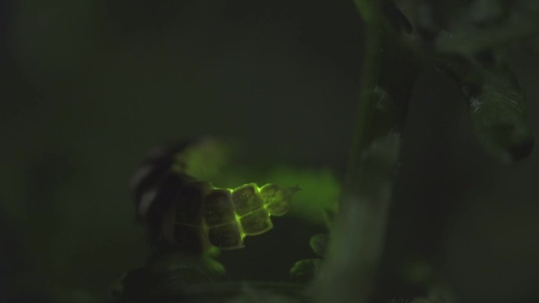 Gallery image from iMvSWq7y7JaFmCIF8JKPfREbYfp.jpg