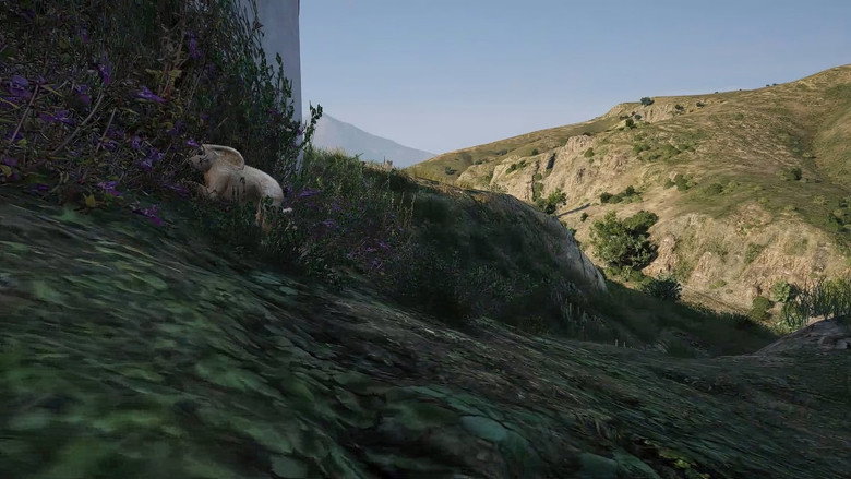 Imatge de Sightjacking