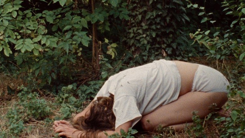 Gallery image from iOZKJqoaTfnePipXLUoi3yMvYfT.jpg