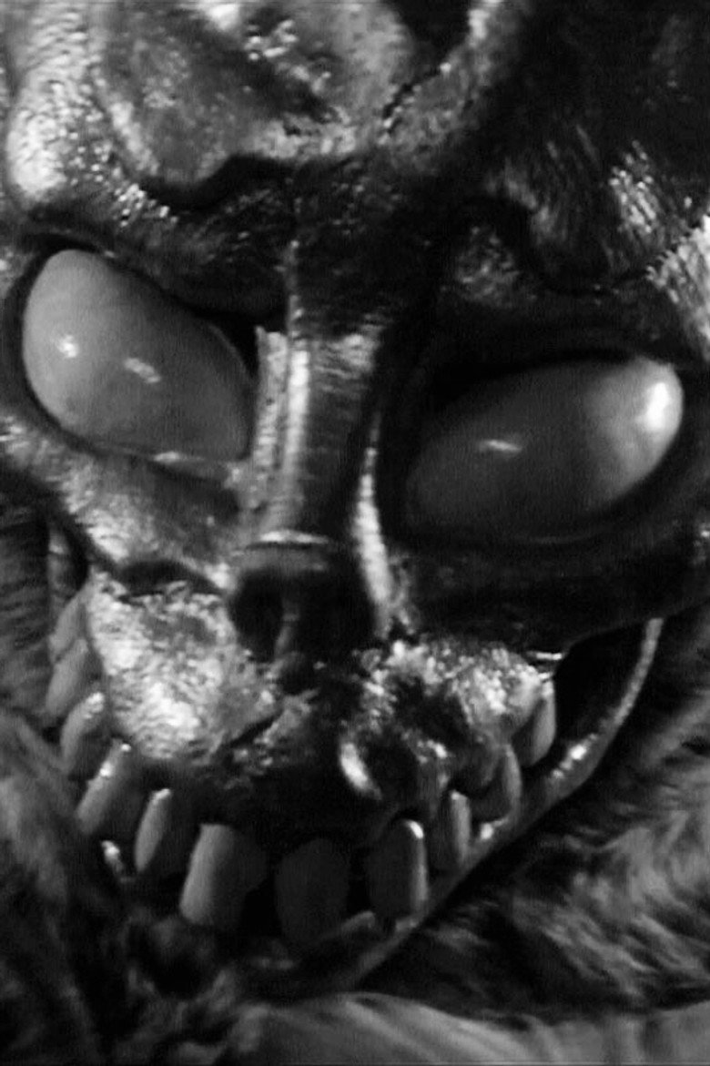 Imatge de Donnie Darko
